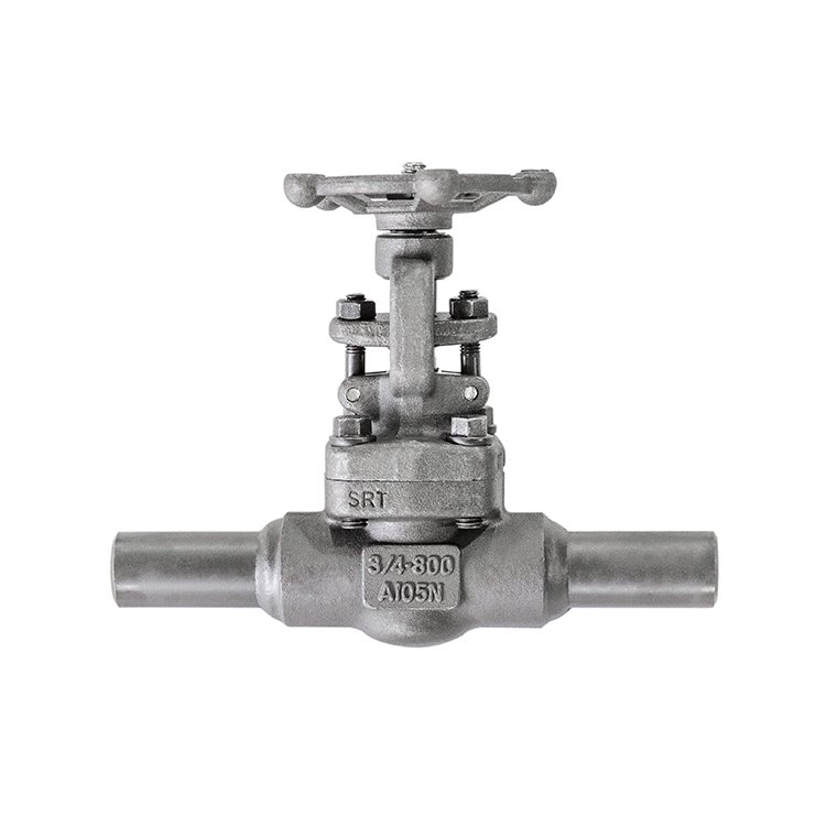 Mikro Ezkini qanday tushunish kerak? 浙江橙树 - 无敌队 - 郑清 - 郑清